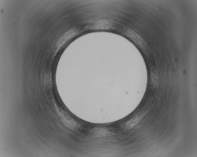 X0000067910534200604131346