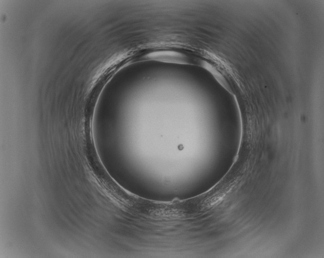 X0000067910535200604131346