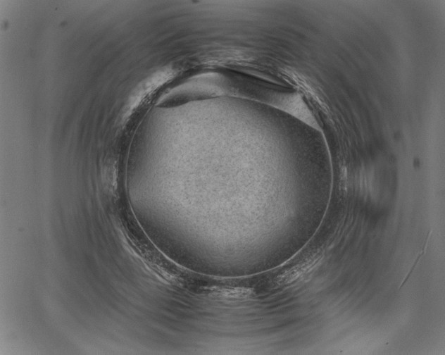 X0000067910539200604131346