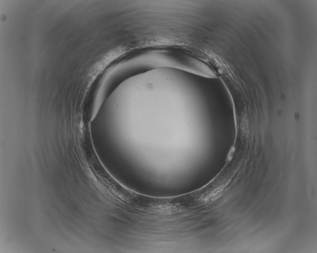 X0000067910540200604131346