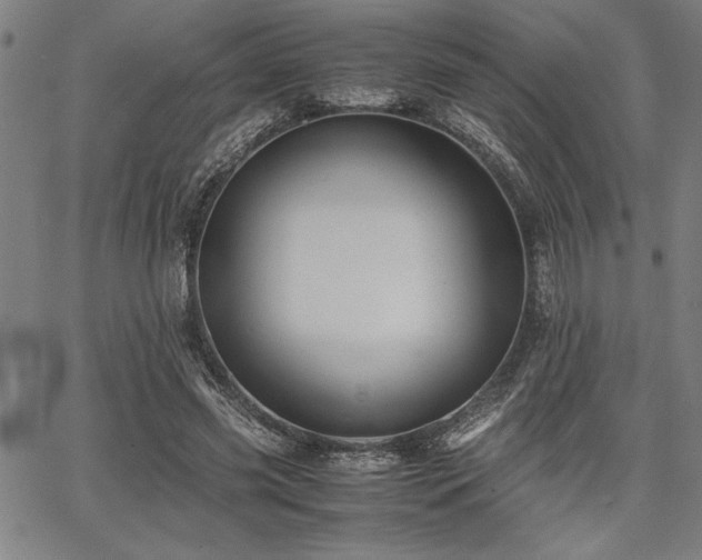 X0000067910541200604131346