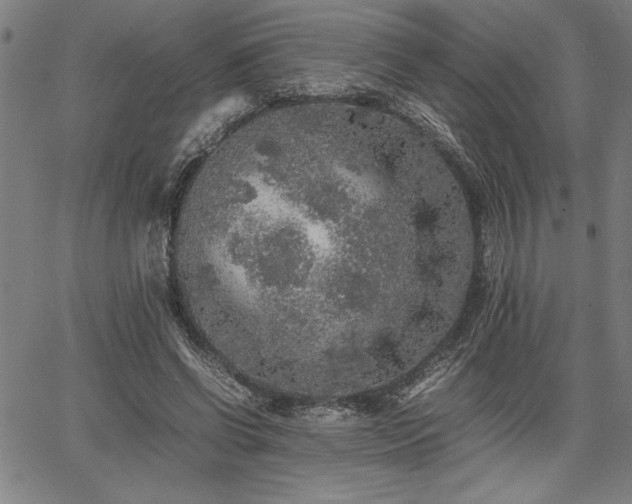 X0000067910542200604131346