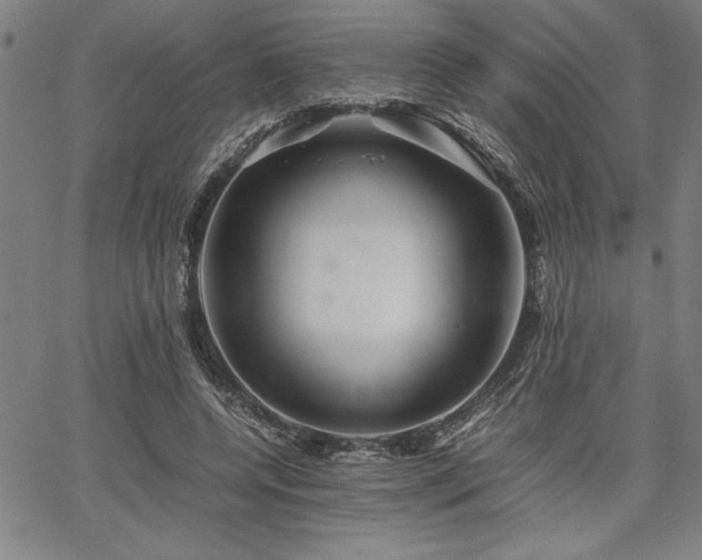 X0000067910544200604131346