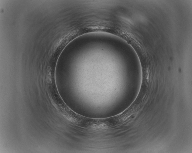 X0000067910547200604131346