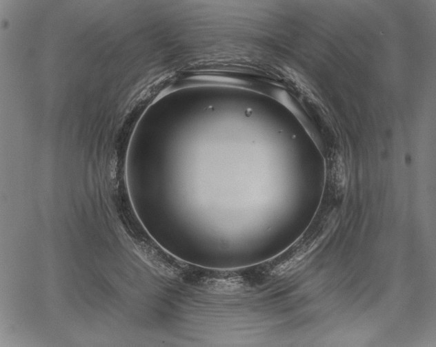 X0000067910548200604131346