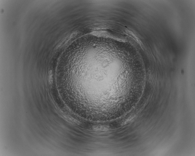 X0000067910549200604131346