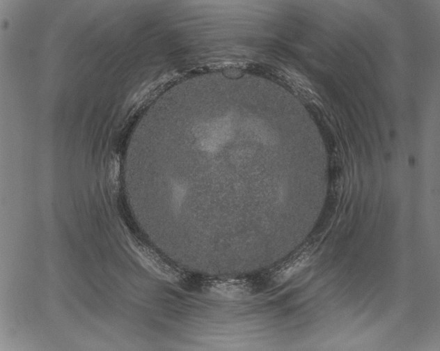 X0000067910550200604131346