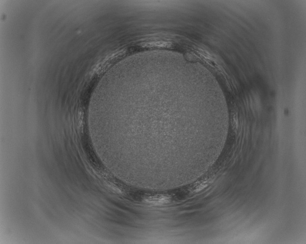 X0000067910551200604131346