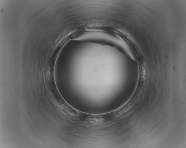 X0000067910552200604131346