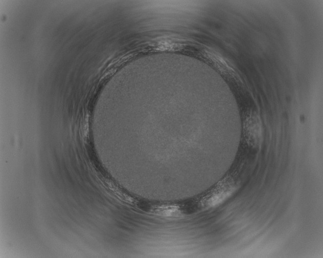 X0000067910554200604131346