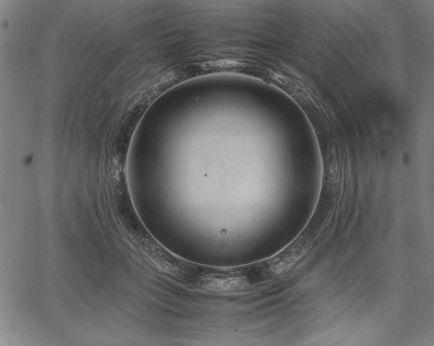 X0000067910555200604131346