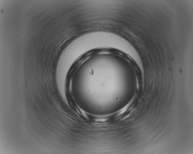 X0000067910556200604131346