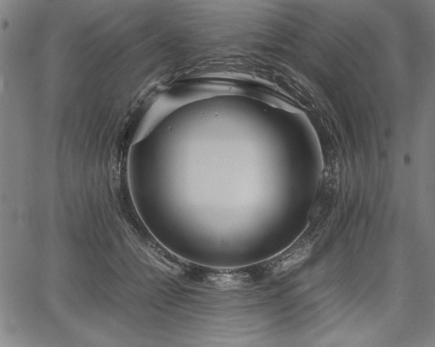 X0000067910558200604131346