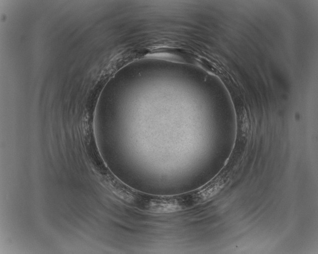 X0000067910559200604131346