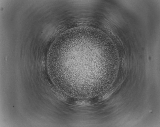 X0000067910561200604131346