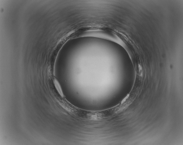 X0000067910564200604131346