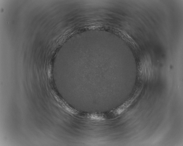 X0000067910565200604131346