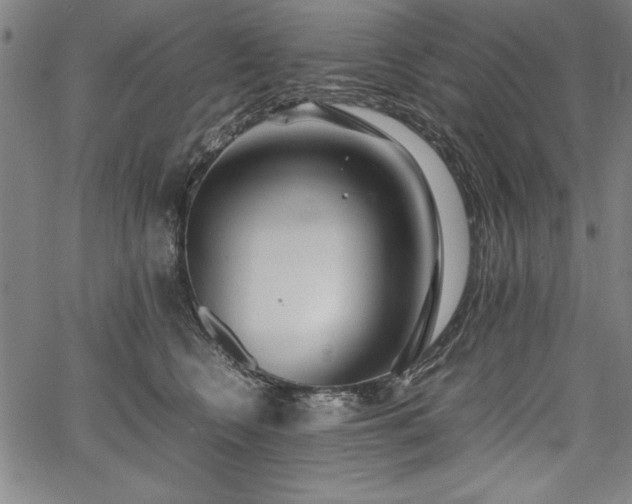 X0000067910566200604131346