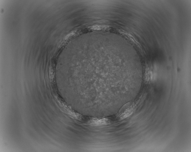 X0000067910569200604131346