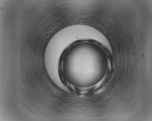 X0000067910570200604131346