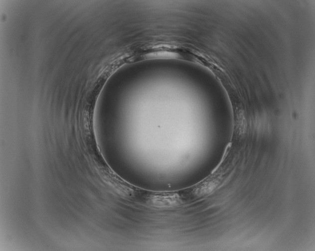 X0000067910571200604131346