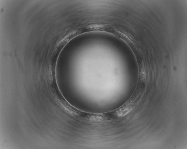 X0000067910572200604131346