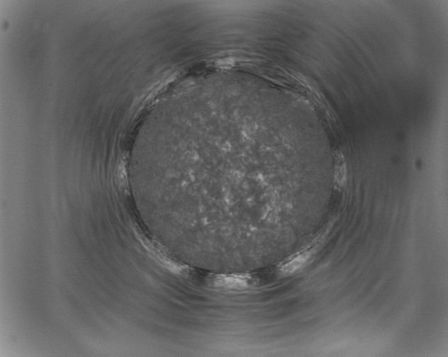 X0000067910573200604131346