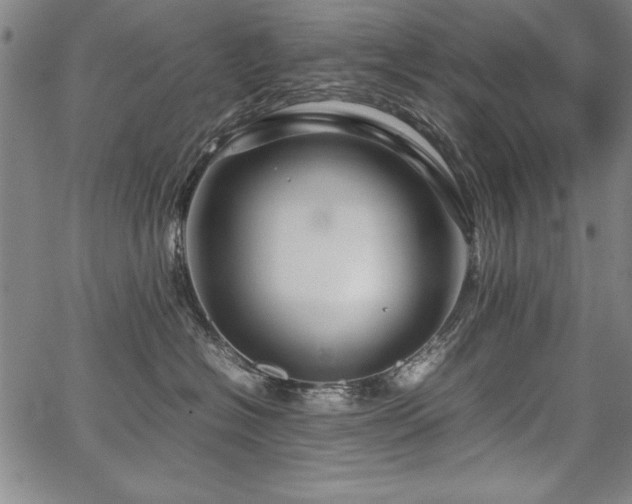 X0000067910574200604131346