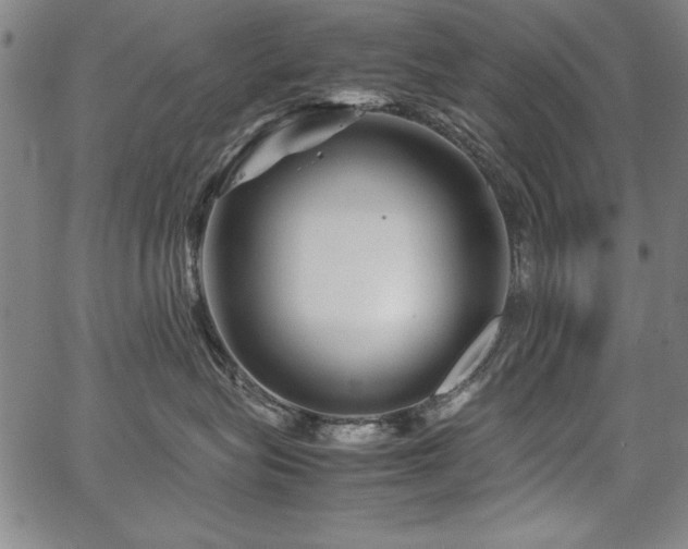 X0000067910575200604131346