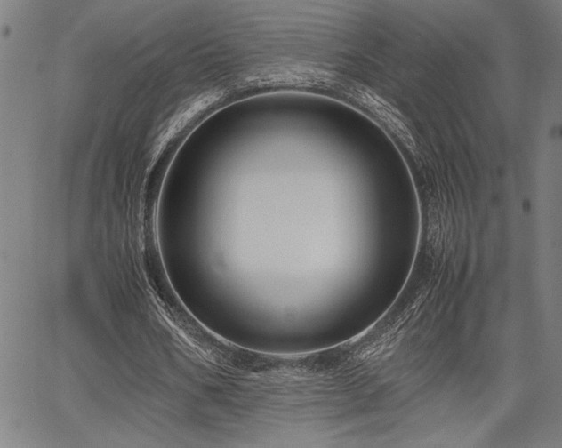 X0000067910578200604131345