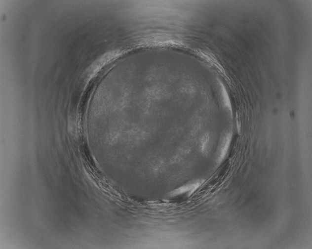 X0000067910579200604131345