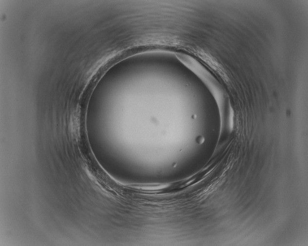 X0000067910580200604131345