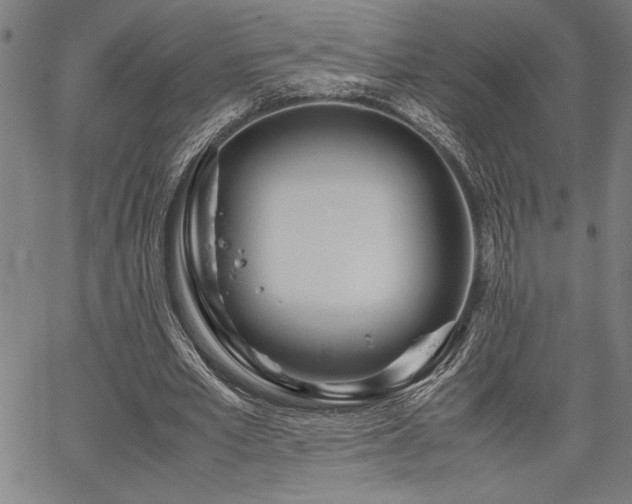 X0000067910581200604131345