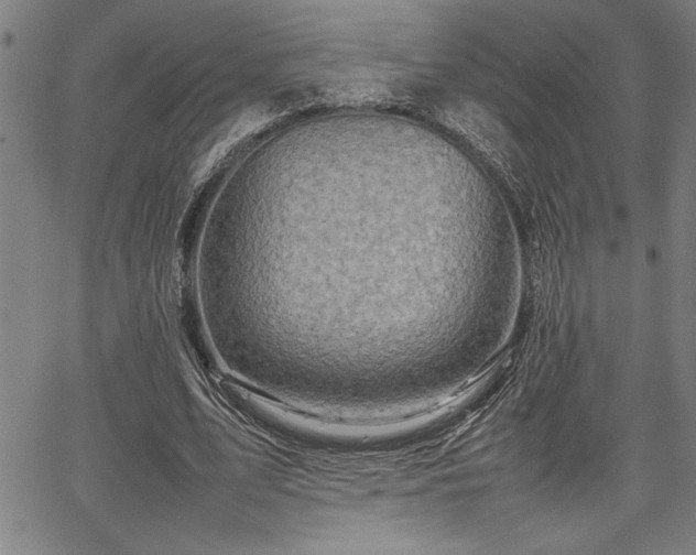 X0000067910583200604131345