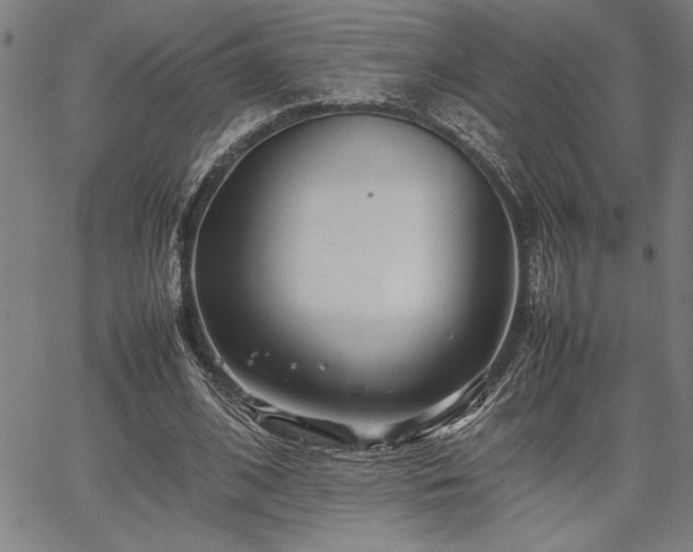 X0000067910584200604131345