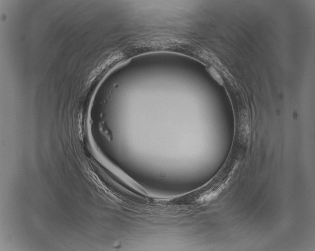 X0000067910585200604131345