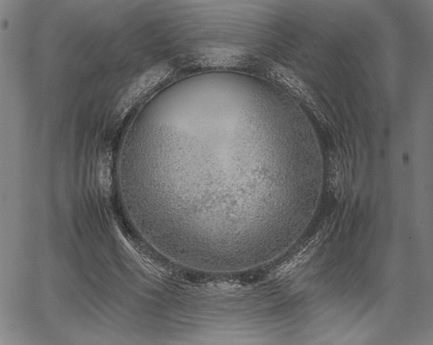 X0000067910586200604131345