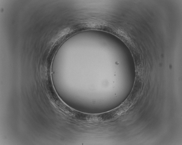 X0000067910587200604131345