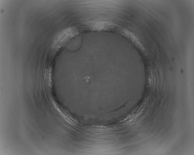 X0000067910590200604131345