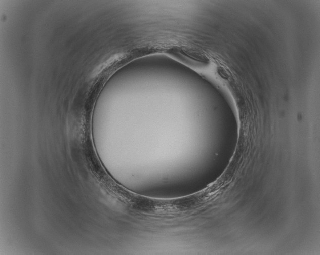 X0000067910591200604131345