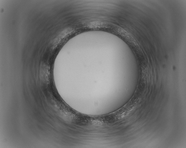 X0000067910592200604131345