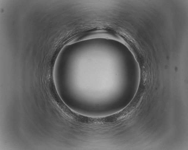 X0000067910593200604131345