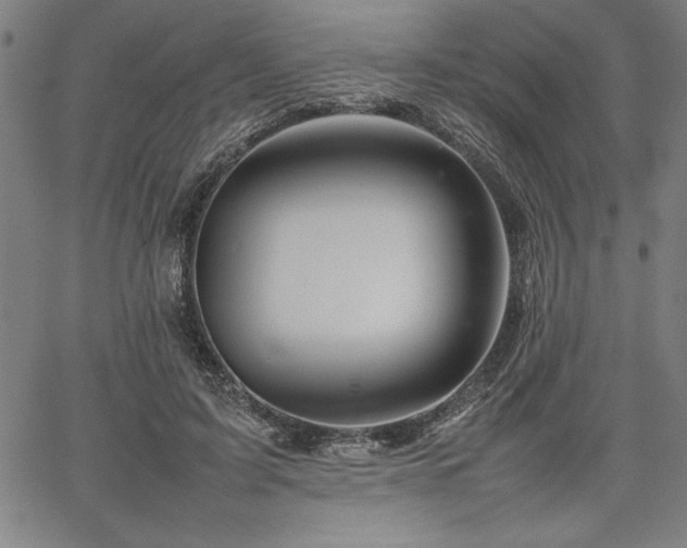 X0000067910595200604131345