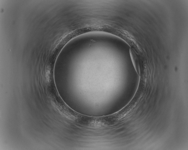 X0000067910596200604131345