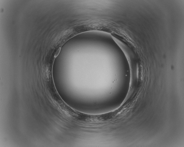 X0000067910597200604131345