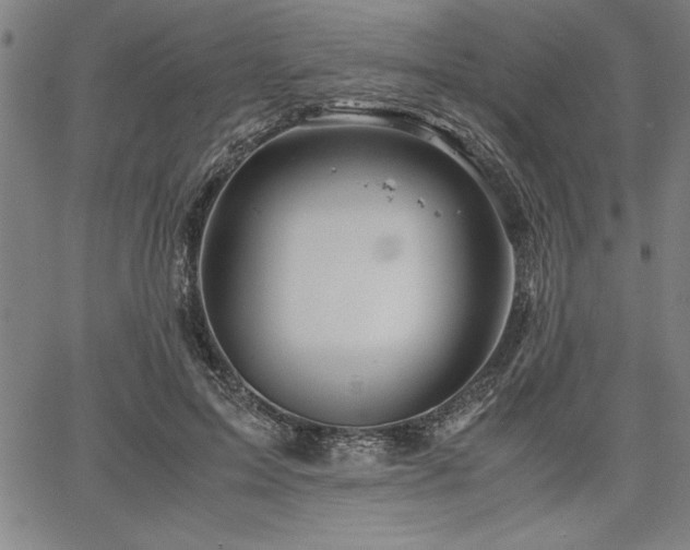 X0000067910599200604131345