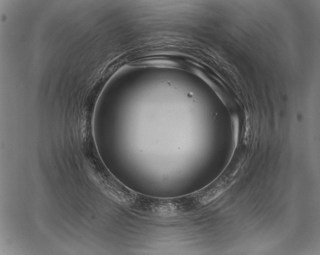 X0000067910600200604131345