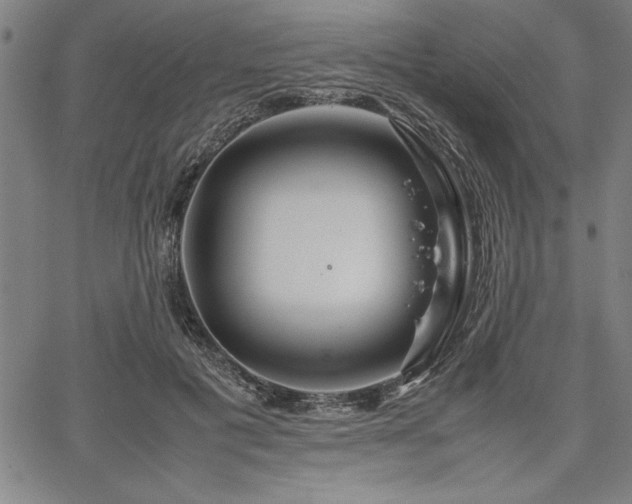 X0000067910601200604131345