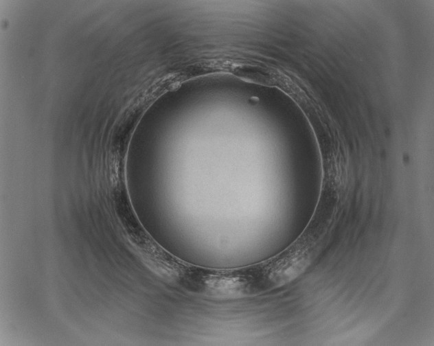 X0000067910602200604131345