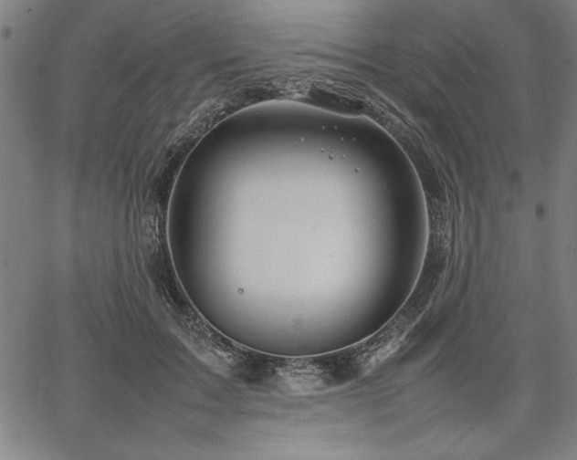 X0000067910603200604131345